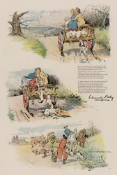 Die Abenteuer eines trenchergefütterten Rudels